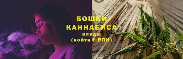 PSILOCYBIN Абаза